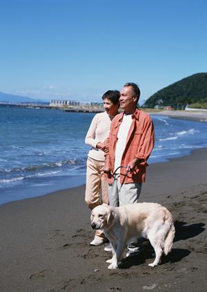 秦野で動物病院を探しているなら