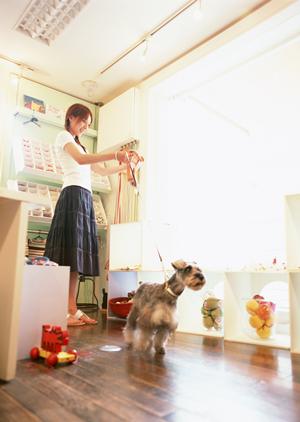 金沢市で鳥を診察できる動物病院について